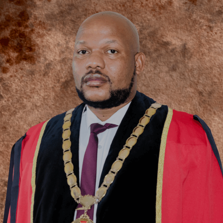council_684199a506c19