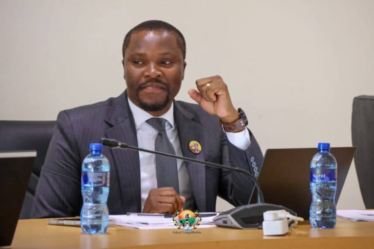Mayor mduduzi
