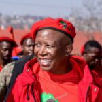 250805-Malema-696x522