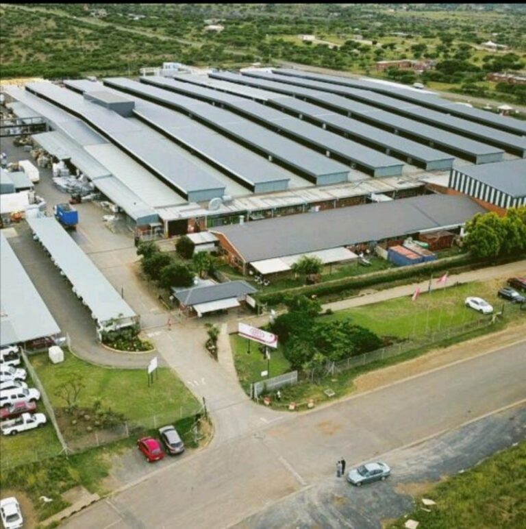 Defy ladysmith