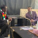 misuzulu and mnangangwa