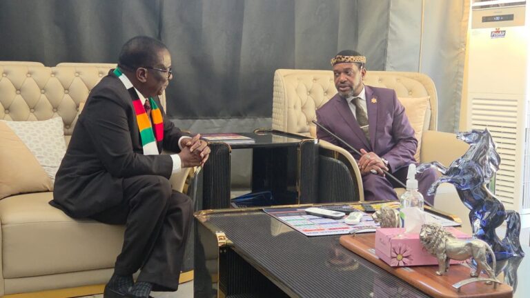 misuzulu and mnangangwa