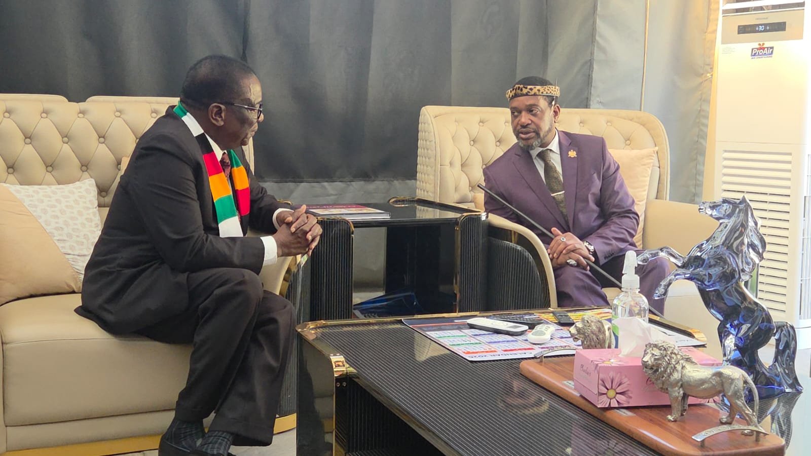 misuzulu and mnangangwa