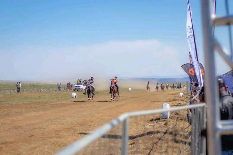 Newcastle Horse Racing